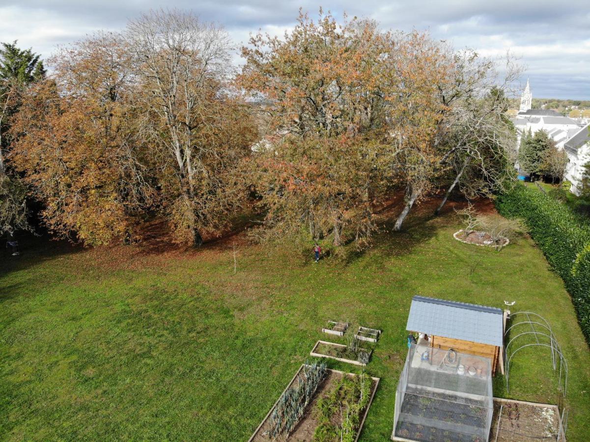 Domaine Du Moulin A Vent - Gite & Spa Saint-Florent-sur-Cher ภายนอก รูปภาพ